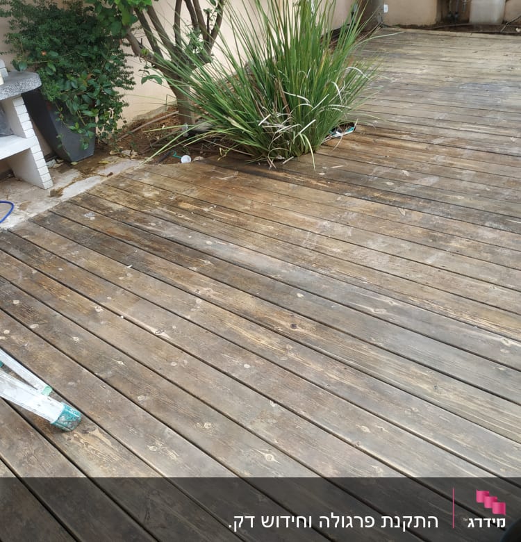 דק עץ עם צמחייה וכלי עבודה בגינה